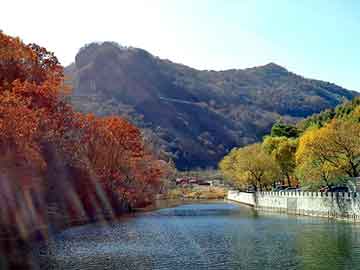 正版澳门天天开彩大全，官场沉浮小说